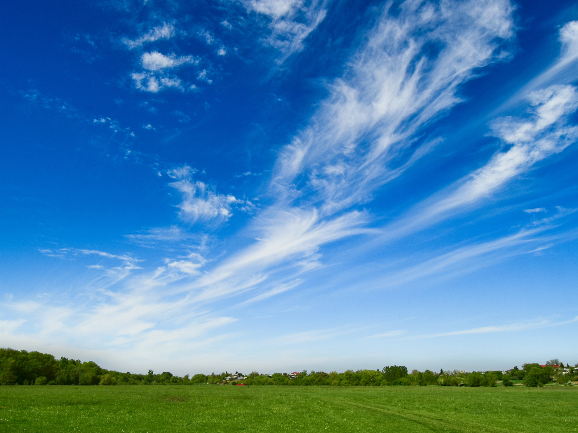 Eine grüne Landschaft mit blauem Himmel.