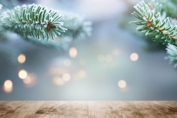 Frohe Weihnachten!
