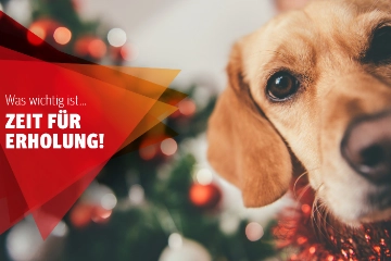Frohe Weihnachten und einen guten Rutsch!